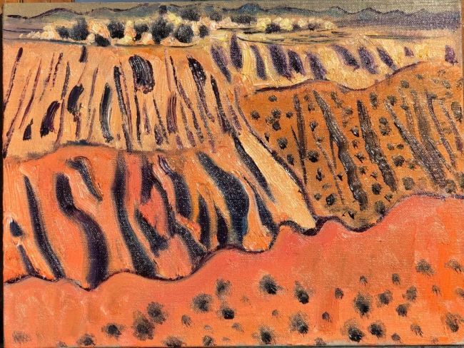 著名画家王克举陕西靖边写生展现自我内心极具个性的风景