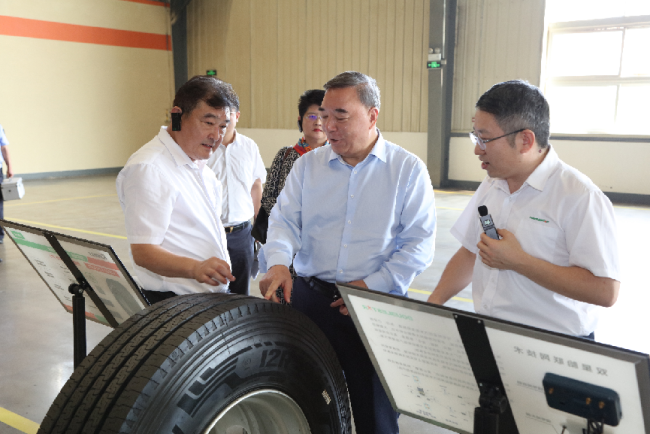中国企业改革与发展研究会会长宋志平一行到双星调研