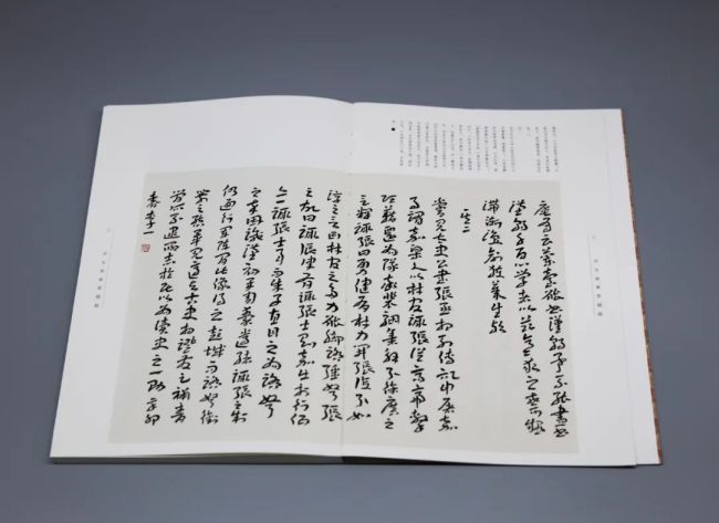可读,可藏,可观,可赏——著名书法家李一《开元室章草题跋》品读_山