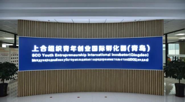 青岛市委组织部领导调研上合示范区青岛空港综合保税区等地对胶州市