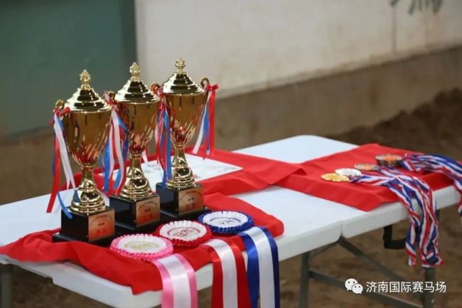 2021年山东省马术巡回赛U系列赛事（济南地区）圆满举行，骏腾俱乐部再创佳绩