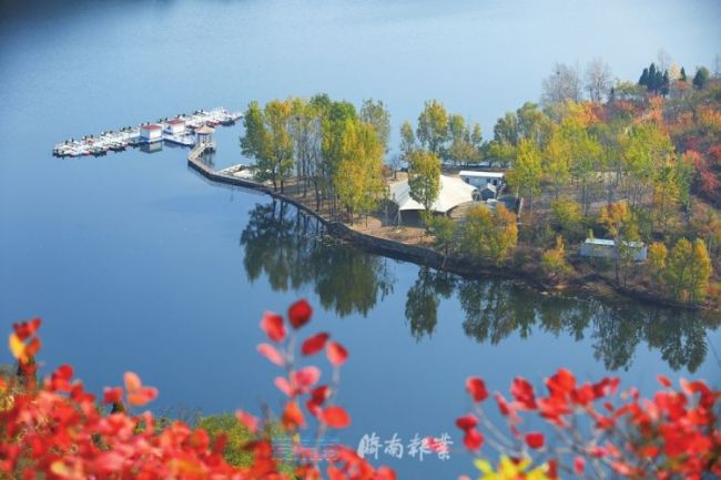 济南发布农业农村现代化“十四五”规划 2025年建成乡村振兴齐鲁样板省会标杆