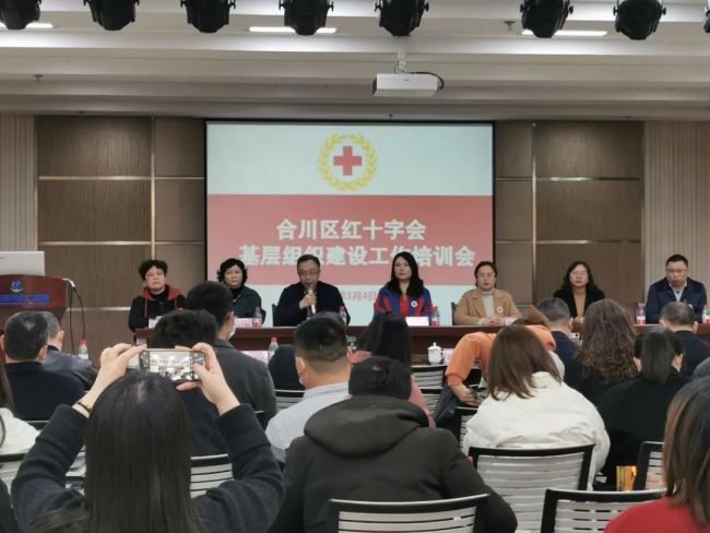2022合川区红十字会基层组织建设工作培训会在合川宏仁医院成功举办