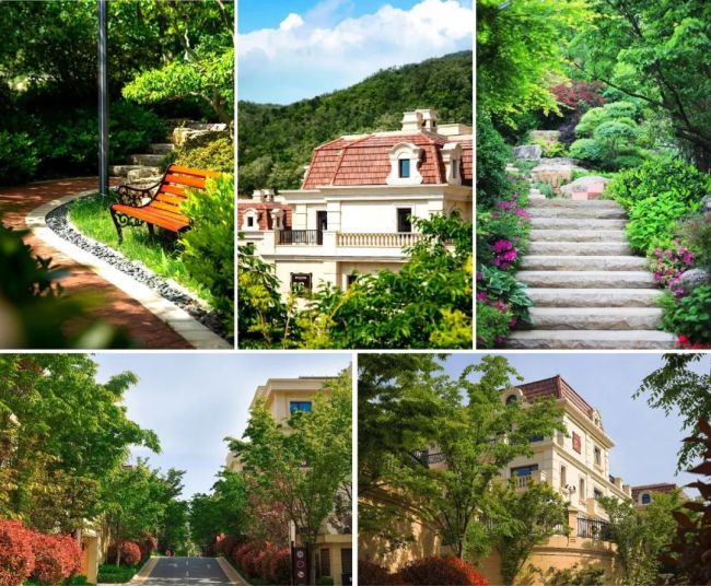 波尔多小镇 (2).jpg 图片