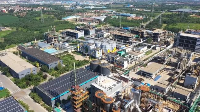 淄博围绕山东省党代会“十大创新”部署要求，打造科技创新生态 推动产业迭代升级