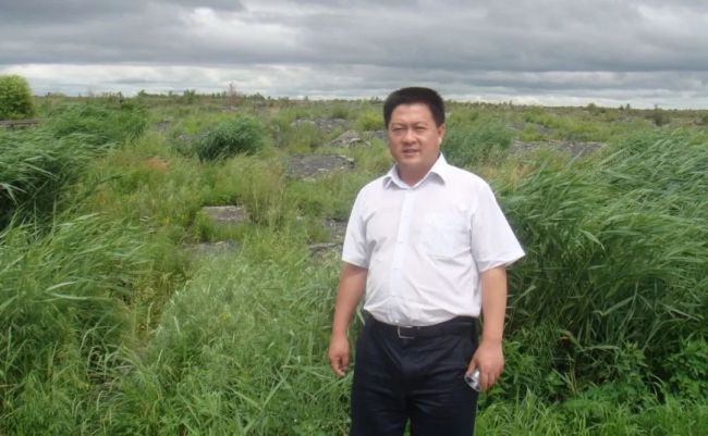 艺术活化赋能乡村发展董方军和他的桃花岛