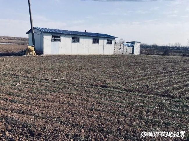 什么是基本农田什么是一般耕地 ad8d81c2-f722-49f0-85d1-f229e123fd11.jpg