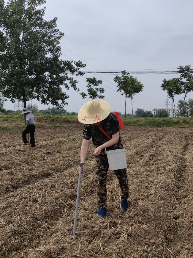陈光标连续25年帮父母夏收秋种：和儿子一起干农活，回家的感觉真好！
