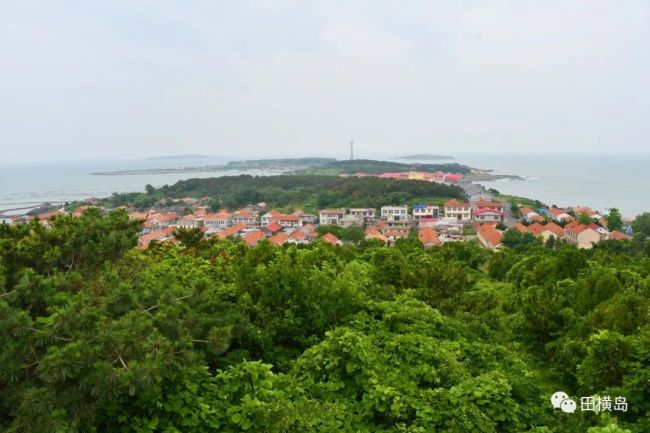 8·15全国生态日 | 来青岛即墨田横岛感受一个无蚊蝇的夏天