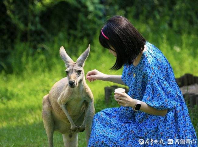 欢聚月圆国庆，品味泉游济南！济南文旅集团推出“双节”文旅盛宴