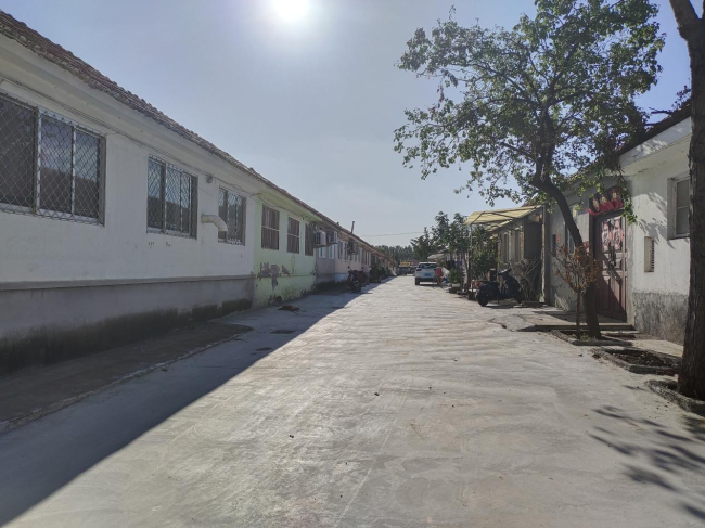 青岛莱西市水集街道：道路硬化惠民生，城市更新路先行