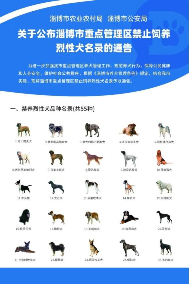 这55种烈性犬，淄博市重点管理区禁养！
