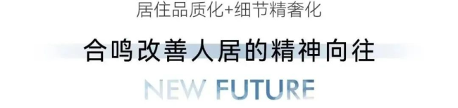 图片13.png
