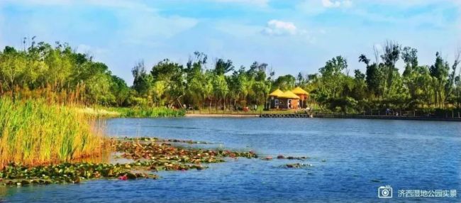 济南蓝石大溪地樱花海里的洋房总价190万起国家公园低密湖居热势启新