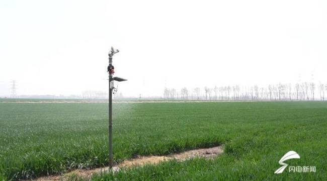 潍坊：30000亩麦田病虫害防治作业5天即可完成 先进技术助力春管降本增效