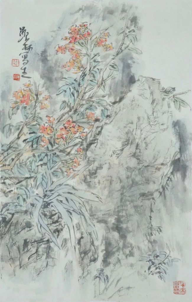 图片