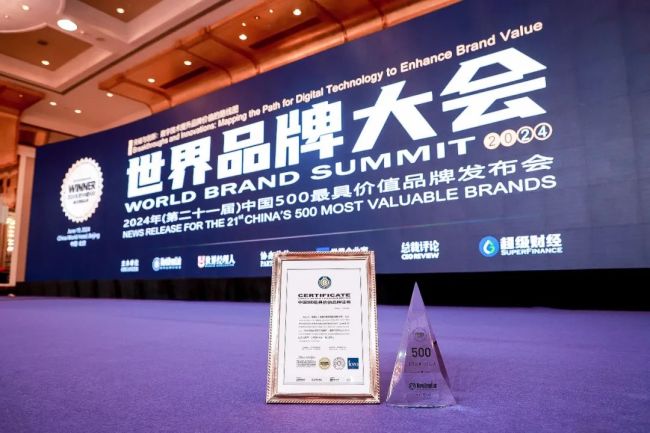 三度蝉联、行业唯一！海纳云再次上榜“中国500最具价值品牌”