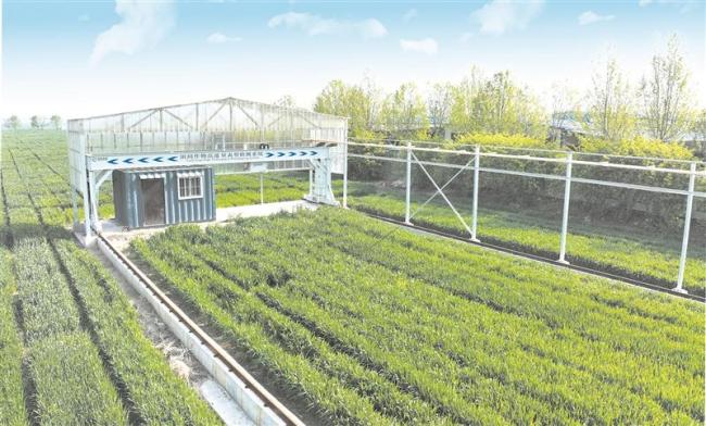 智慧引领： 淄博农业数字化转型加速推进