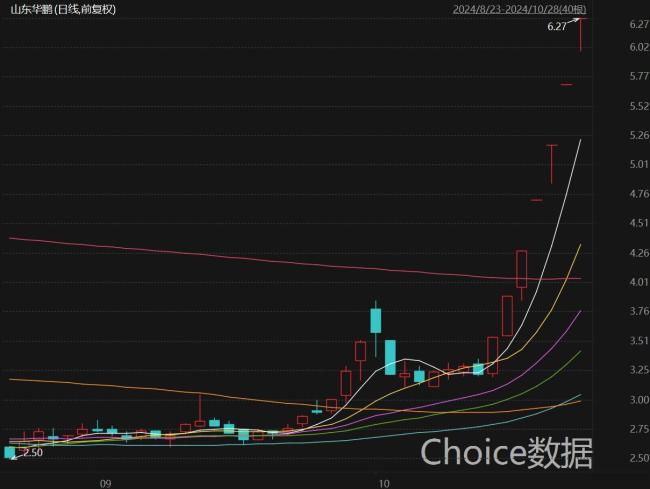 截至10月28日收盘，山东华鹏股价已经连续七个交易日涨停，近乎翻倍。来源：CHoice