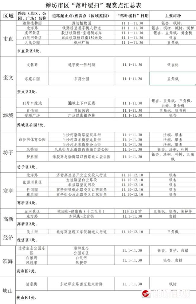 “落叶缓扫”，潍坊城区23处景观超出片，快去打卡！