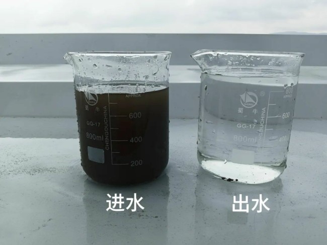 云南杞麓湖水质提升示范项目取得显著成效