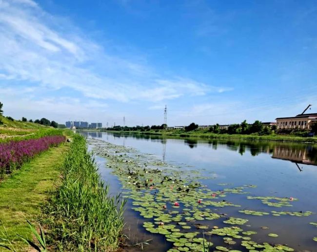 雷克环境中标青岛胶州市桃源河水质提升运维项目