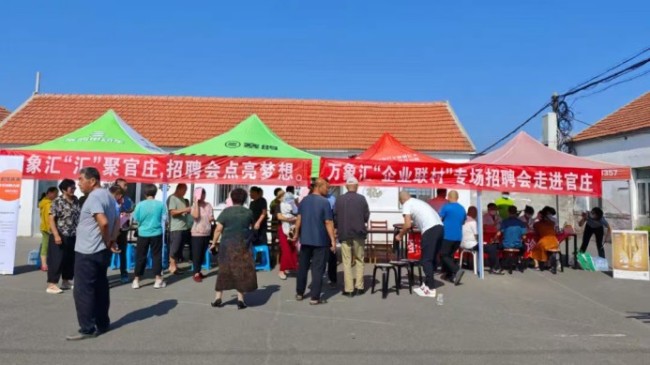 烟台市莱山区莱山街道探索“三项举措”，解锁“人和、村美、共富”的乡村“蝶变密码”