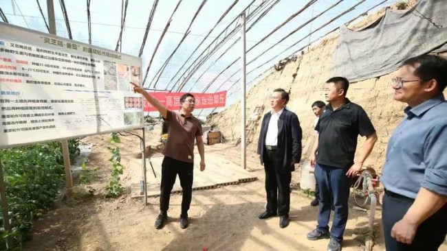 强化农业人才支撑——智慧赋能济南章丘农业生产