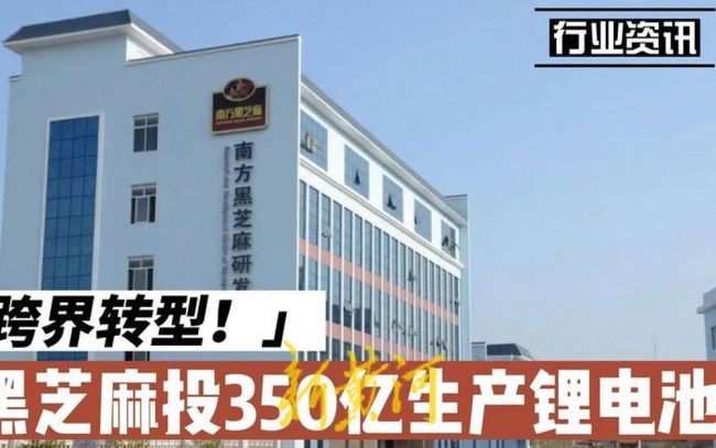 南方黑芝麻糊卖不动了？违规担保、占款频发背后，主业失守转型无门