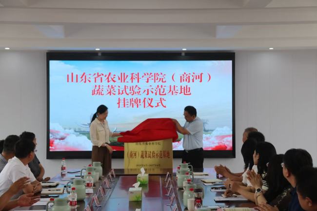 全省首家！山东省农科院（商河）蔬菜试验示范基地在济南商河县沙河镇挂牌