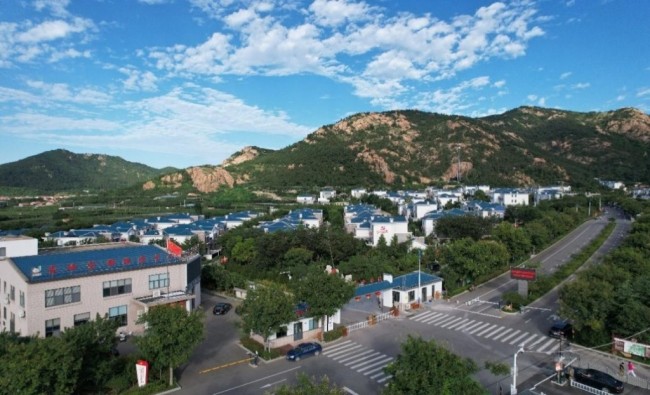 青岛城阳区：营造共治共享好氛围，绘就和美乡村新画卷