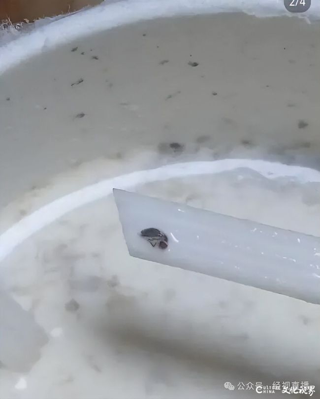 茶话弄奶茶里喝出虫子，店家回应：小虫飞进糖浆了