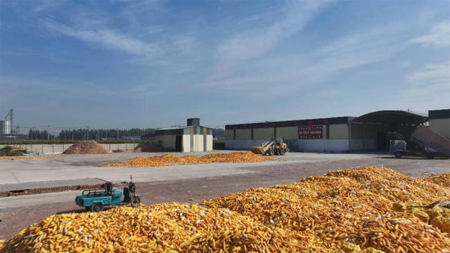 “粮食银行”、移动烘干机、粮食烘干中心24h运转……央视聚焦德州抢收抢烘保障秋粮收获