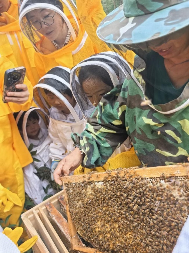 青岛城阳区夏庄街道山色峪乡村振兴片区：农文旅融合激活“逍夏游”，特色研学赋能乡村振兴