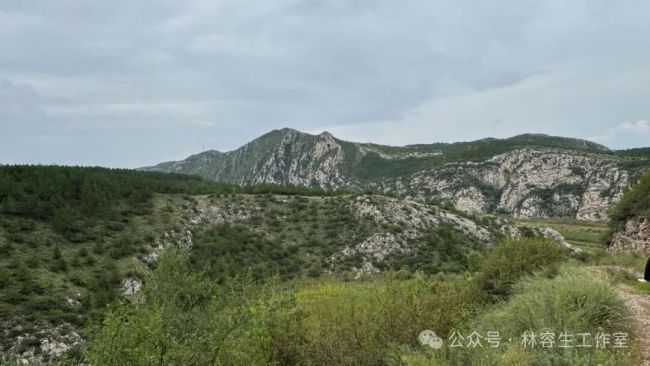 这生机勃勃的土地，亘古自在——林容生太原娄烦县写生纪实