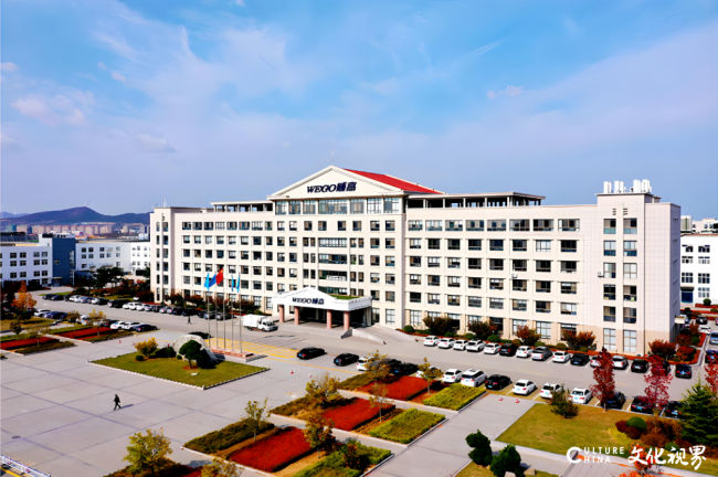 威高血净火速整合“威高系”资产,上市仅五个月,交易方全是“自己人”