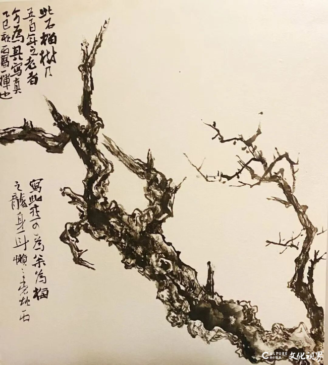 20251029105952617605.png 60.png