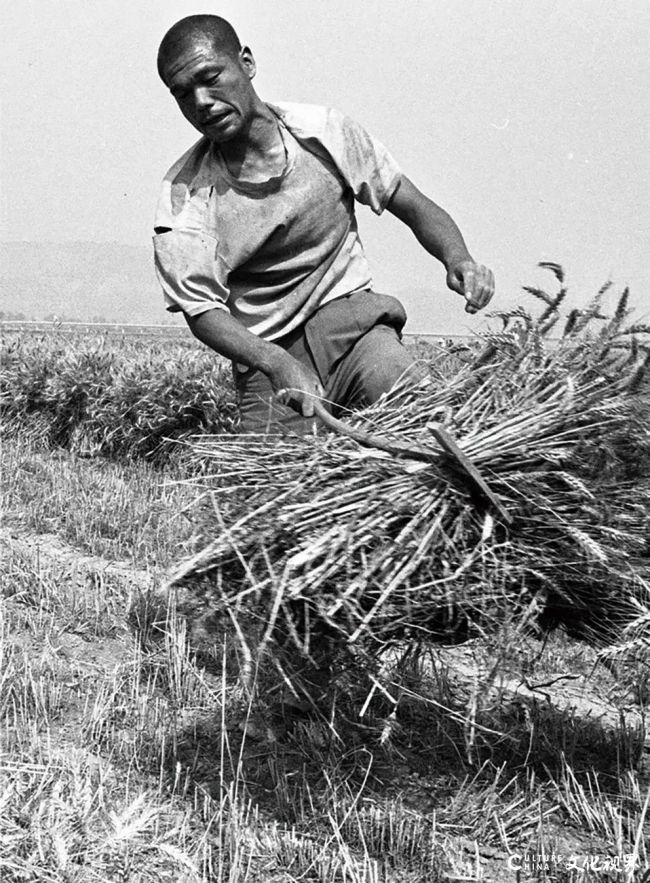 20251108094658918961.jpg 4.jpg