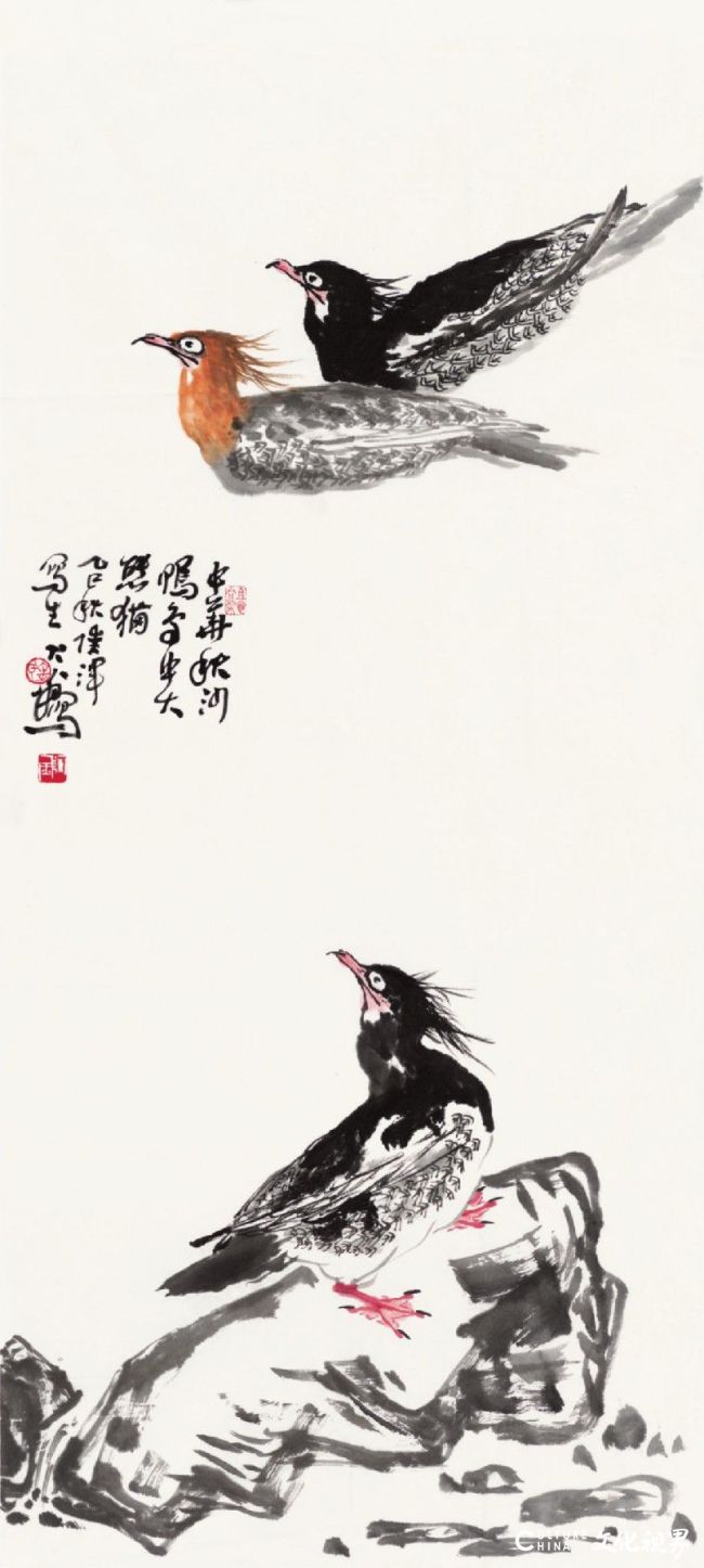 20251110155621393052.jpg 15.jpg