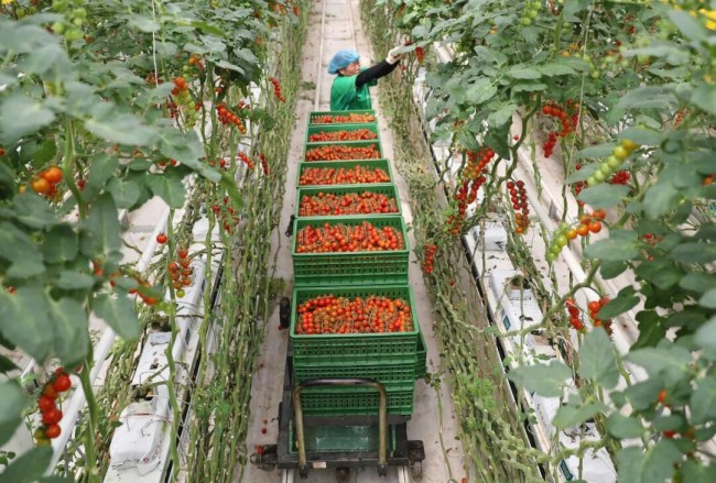 区市委书记访谈|刘瑛:全面融入“中国康湾”建设进程