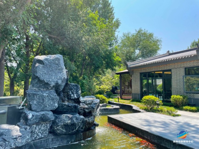 水集街道“四大路径”奏响城乡共富音