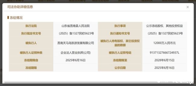 1.2亿股股权冻结竟被标记为“正常”——华海保险偿付能力报告涉嫌虚假记载