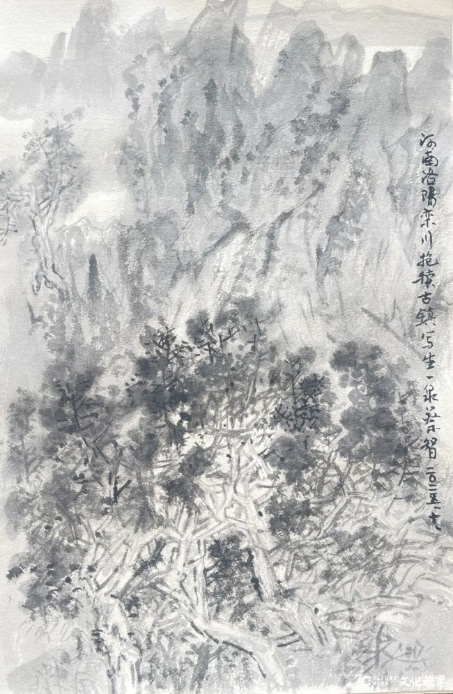 20251115094016427647.jpg 52.jpg