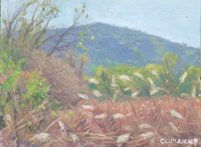 20251115093053927950.jpg 16~1.jpg