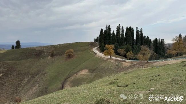 20251120101806132201.jpg 13.jpg