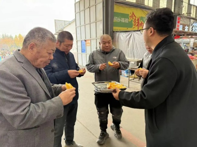 山海相逢“橙”意浓 “巫山恋橙”香莱山