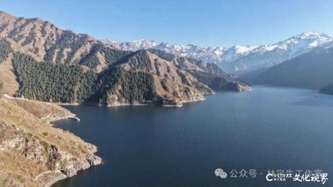 20251120103218416111.jpg 83.jpg