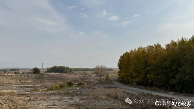 20251120102910333267.jpg 60.jpg