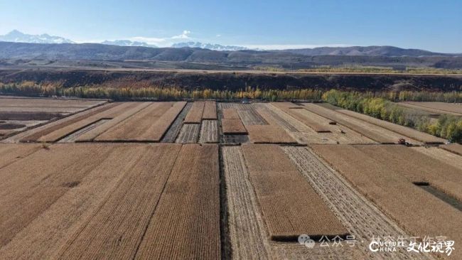 20251120101812751584.jpg 14.jpg