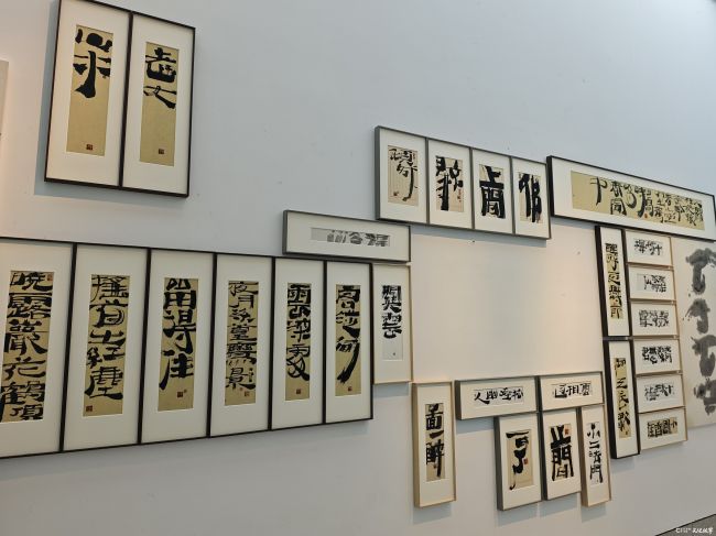 20251123151333398865.jpg 8.jpg